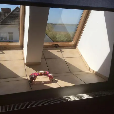 홈스테이 Vivaldi